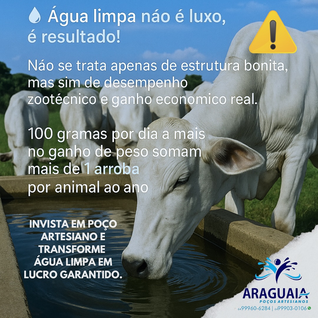 Água para fazenda — gado bebendo água com ROI zootécnico